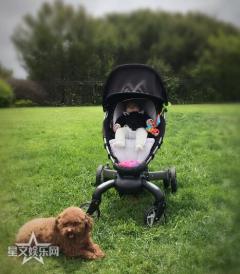 ���������Ҹ����һ������һֻ�� ����ɹ̫��