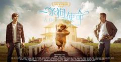 《一条狗的使命》温情来袭,麦富迪周边狗粮热销