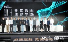 古典不古板,传统有传承——一场关于非遗的狂欢嘉年华令人着迷