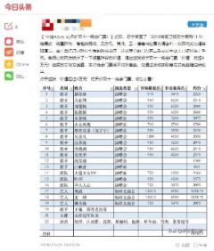 双十一“狮晚”嘉宾阵容全面公开,引“全民抢票”热潮