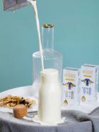 ��˼��x�����ֱ��������������21���䣬����517��ʳ��